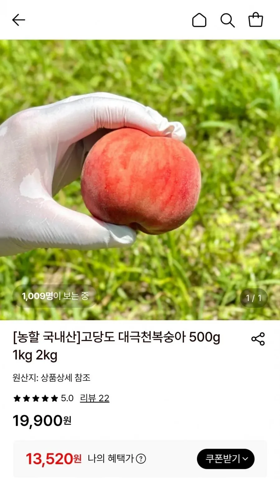 고당도 대극천복숭아 1kg (7~11과)