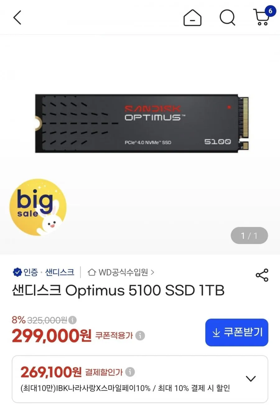 샌디스크 Optimus 5100 SSD 1TB
