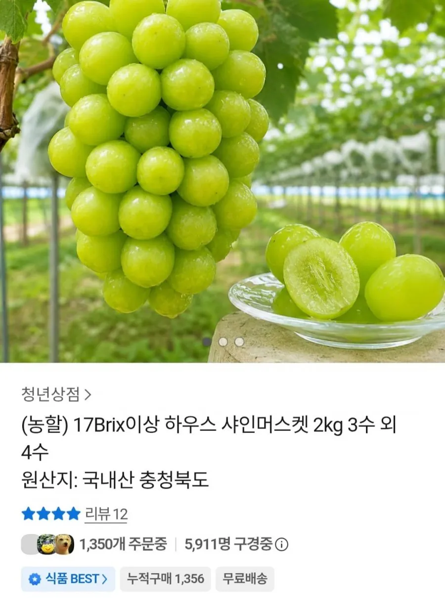 하우스 샤인머스켓 2kg 3수