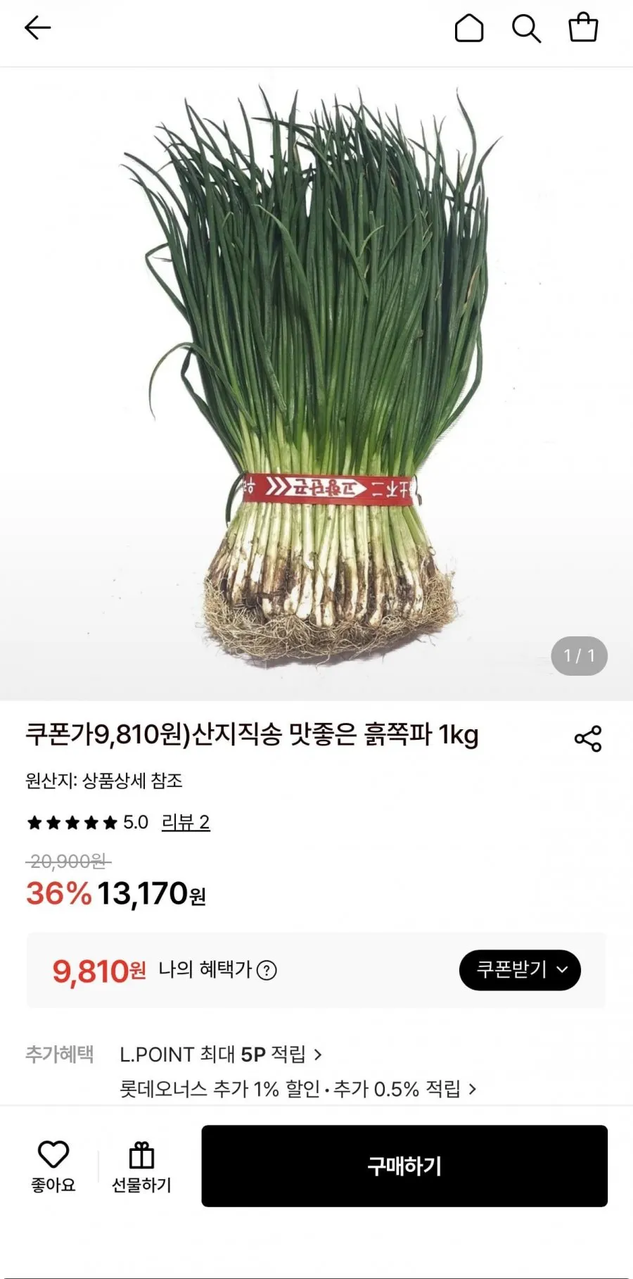 산지직송 맛좋은 흙쪽파 1kg 9,810원/무배