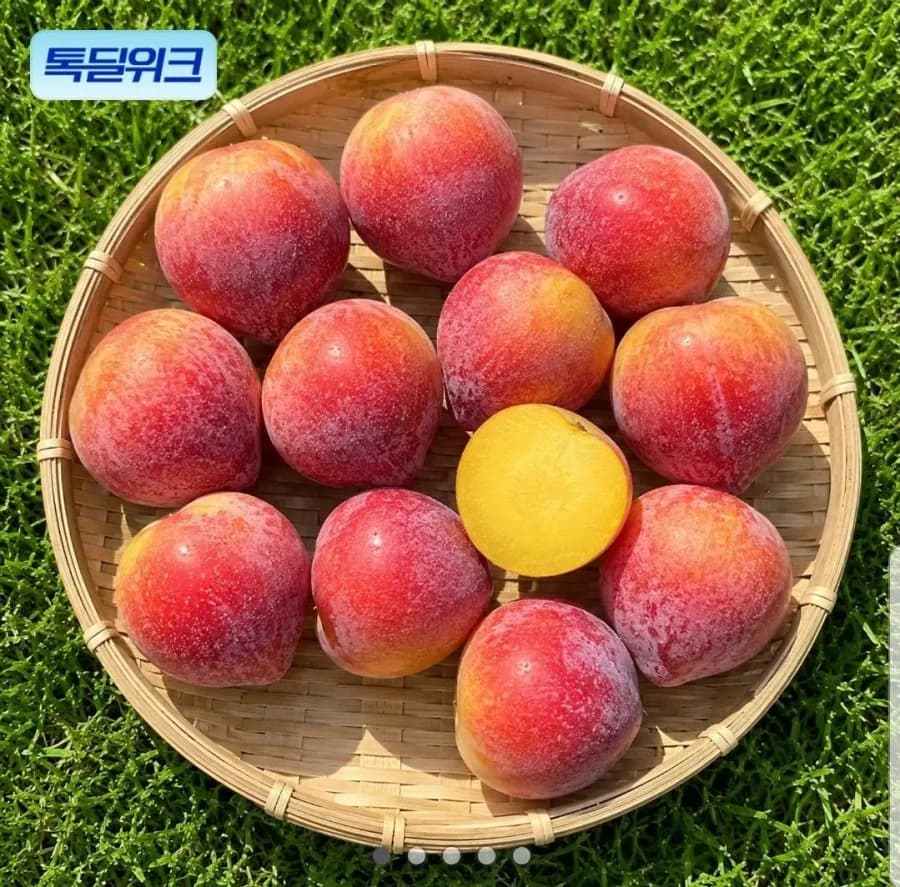 의성 후무사 자두 2kg 중과