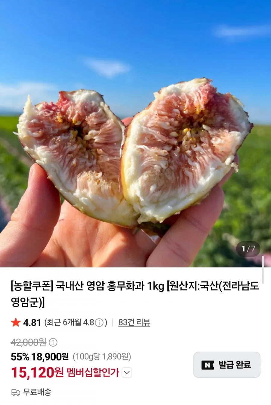 국내산 영암 홍무화과 1kg