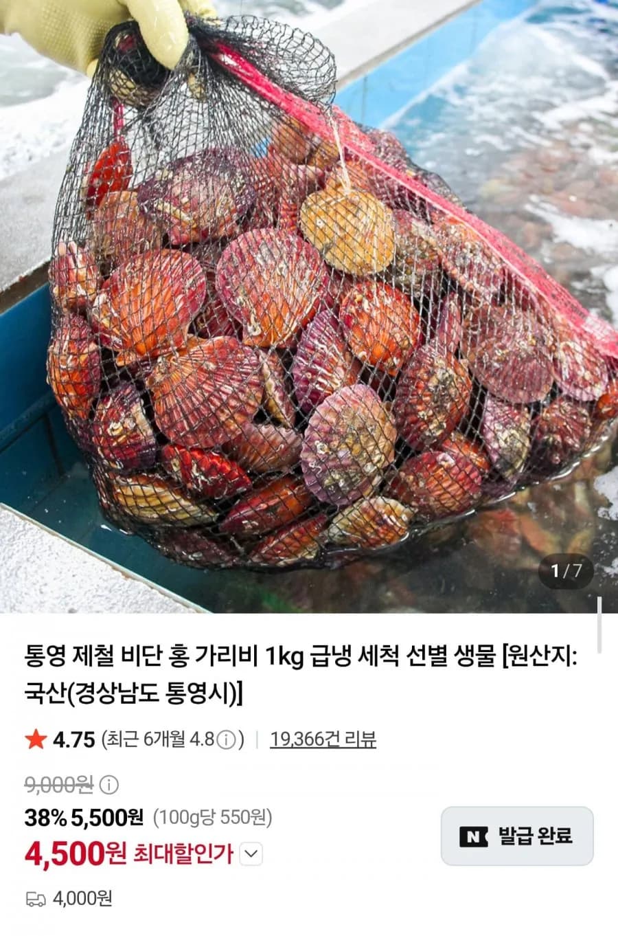 통영 비단 홍가리비 2kg