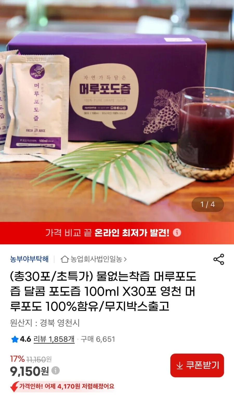 영천 머루포도즙 100ml 30포