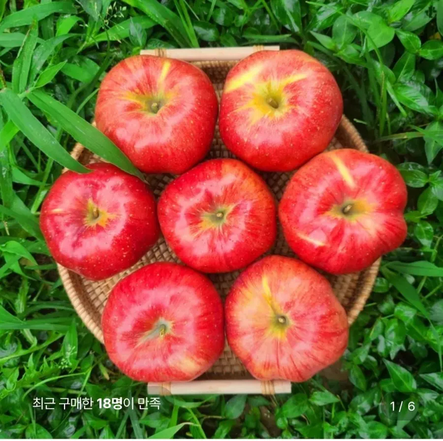 홍로 사과 3kg 중대과 가정용