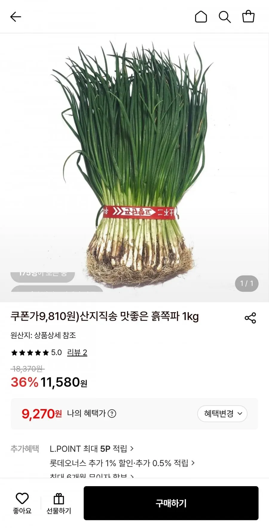 산지직송 쪽파 1kg