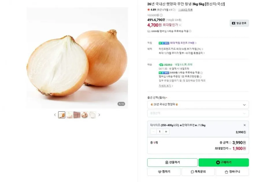 국내산 햇양파 무안 창녕 대사이즈 ( 250~400g 내외)