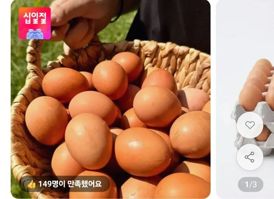 생란 난각번호 1번 40구