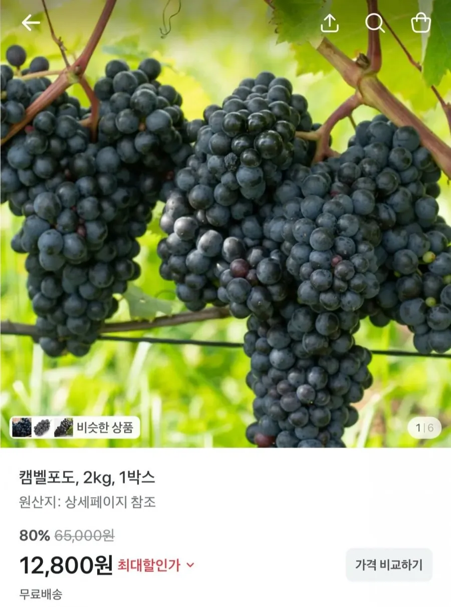 캠벨포도 2kg