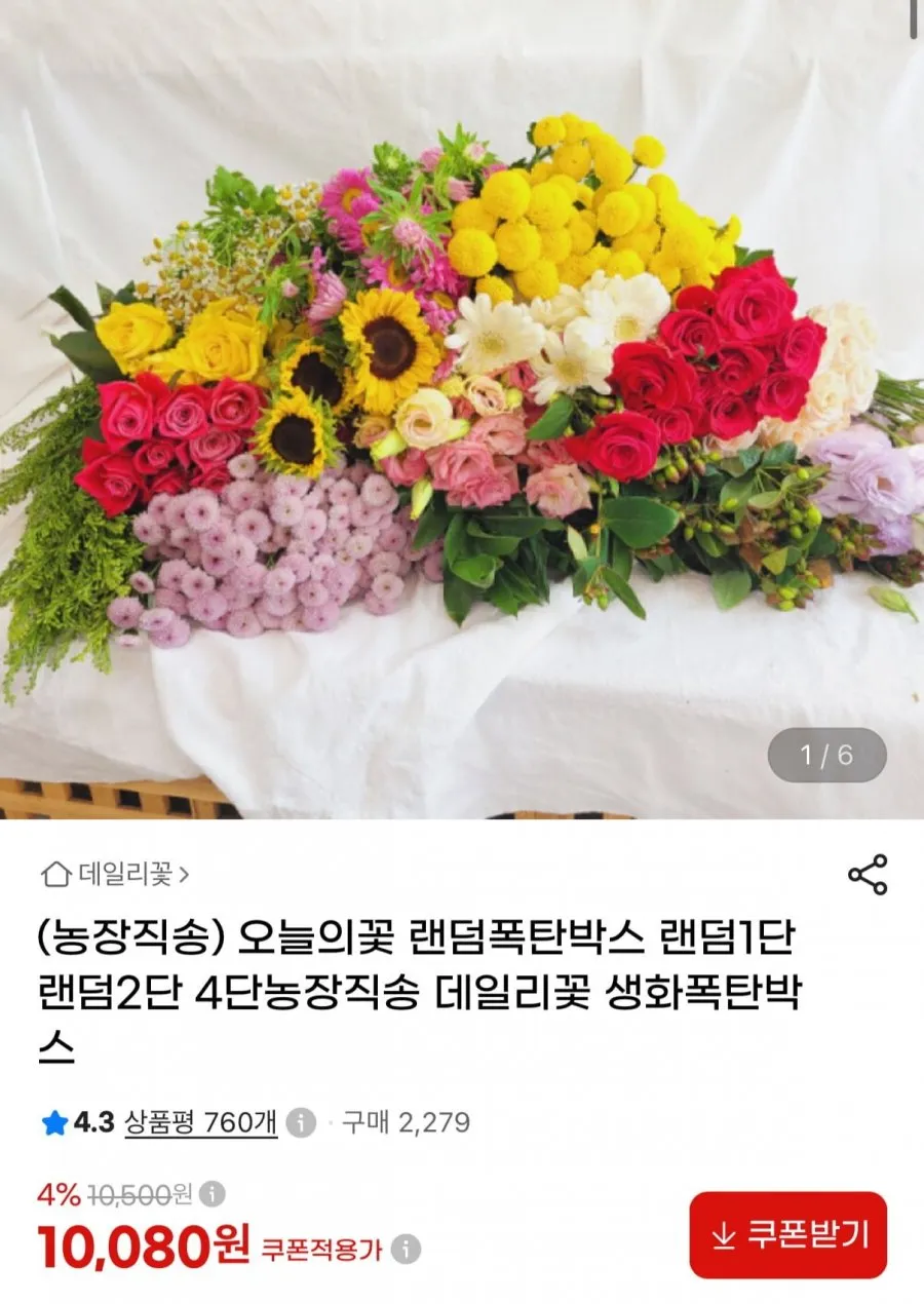 랜덤꽃 5~10송이