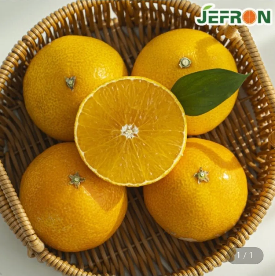 황금향 2kg 중소과