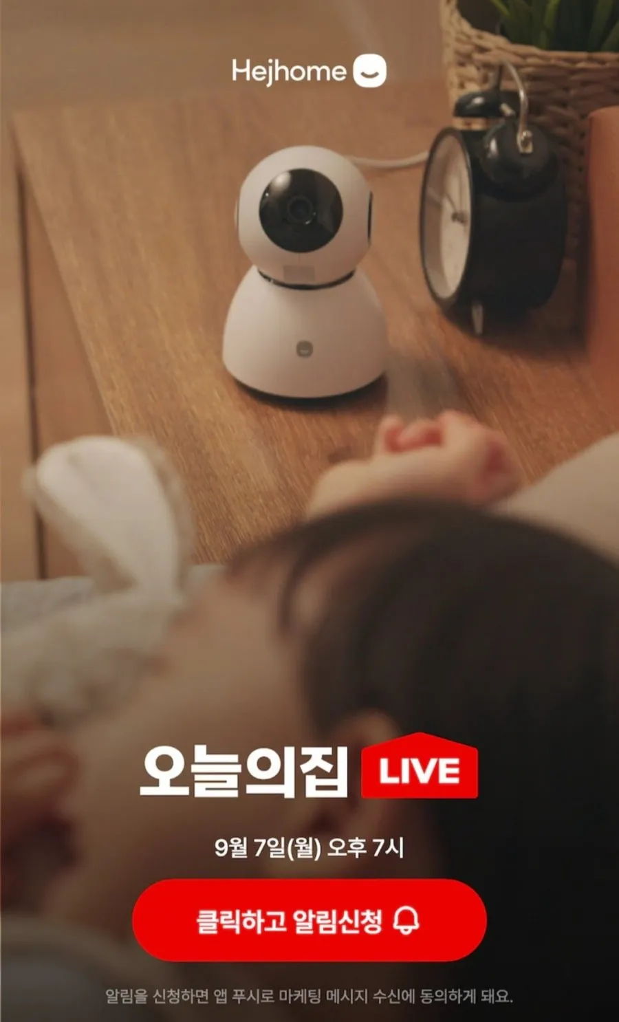 헤이홈 1+1 홈카메라 1세대 PRO 5MP + 헤이캣 커버 2개 증정
