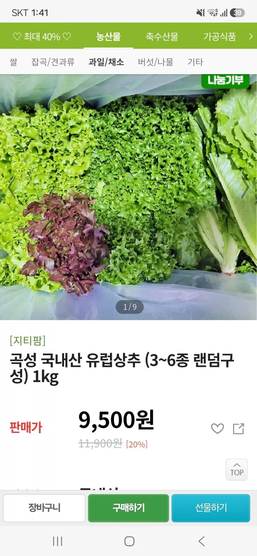곡성 국내산 유럽상추 (3~6종 랜덤구성) 1kg