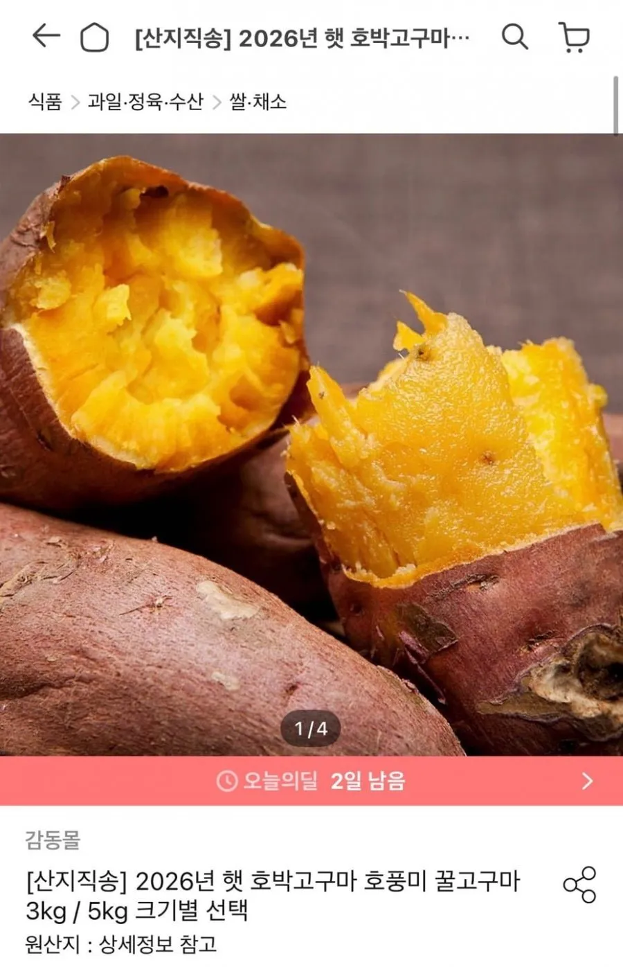 26년 호박고구마 3kg 특/상