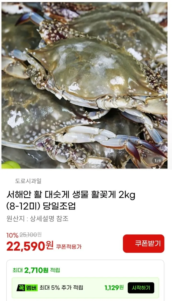 서해안 활 대숫게 생물 활꽃게 2kg (8-12미) 당일조업
