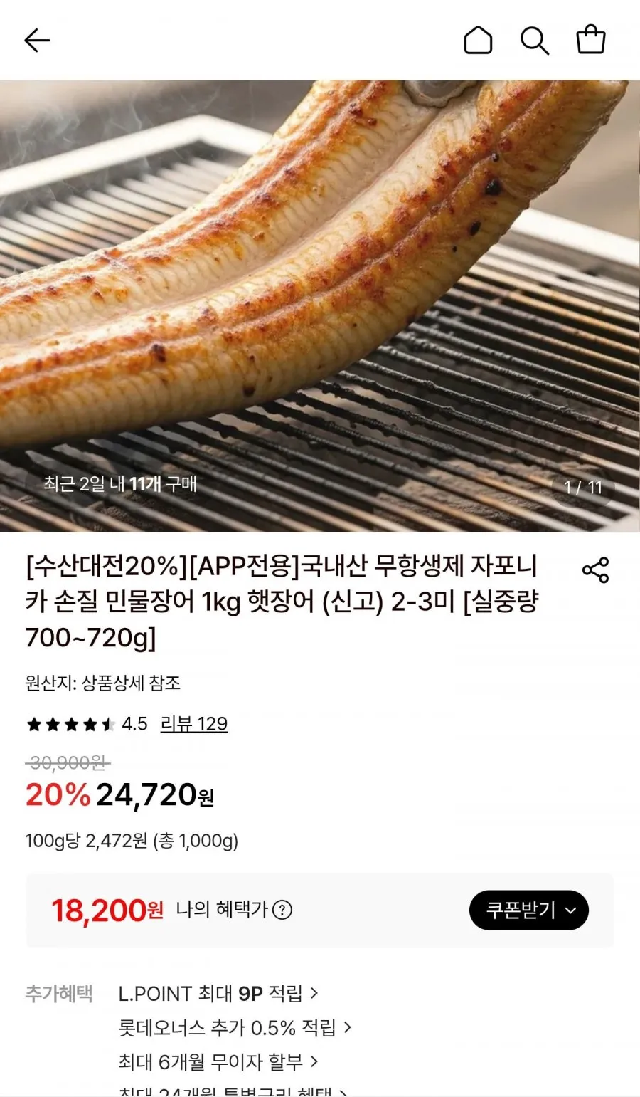 자포니카 손질 민물장어 1kg 햇장어 2-3미