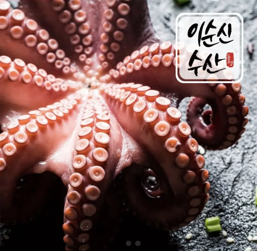 돌문어 1kg 2마리