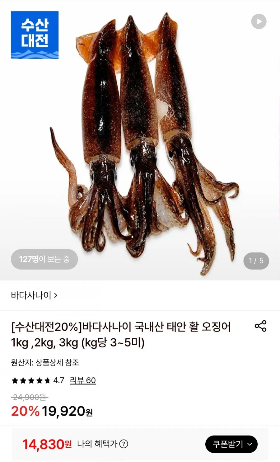 국내산 태안 활 오징어 1kg (3~5미)