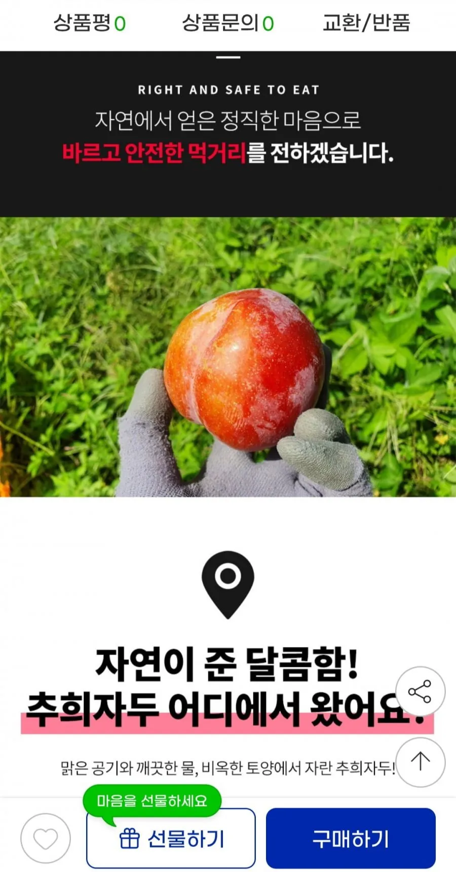 추희자두 대과 3kg 100g급 30개 내외