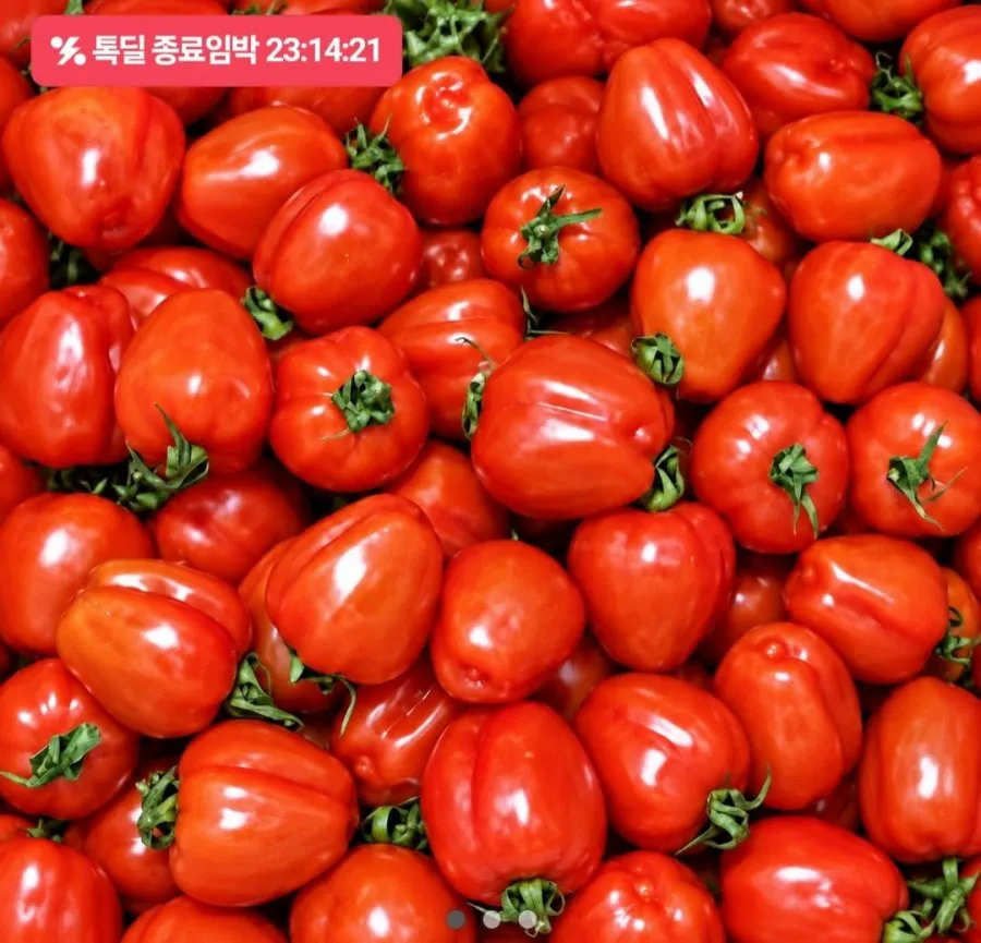 루비벨 방울 토마토 1kg
