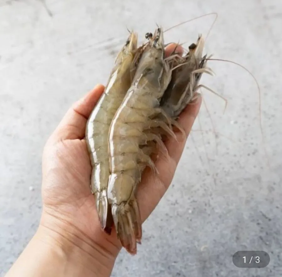 흰다리 횟감용 활새우 1kg(35미내외)