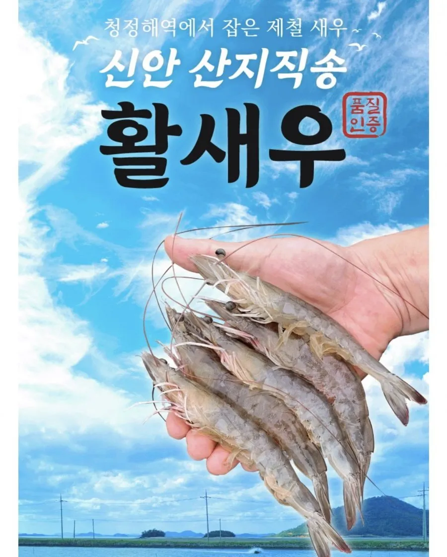 국내산 흰다리새우 1kg