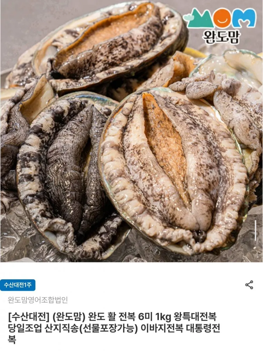 완도 활전복 왕특대 6미 1kg