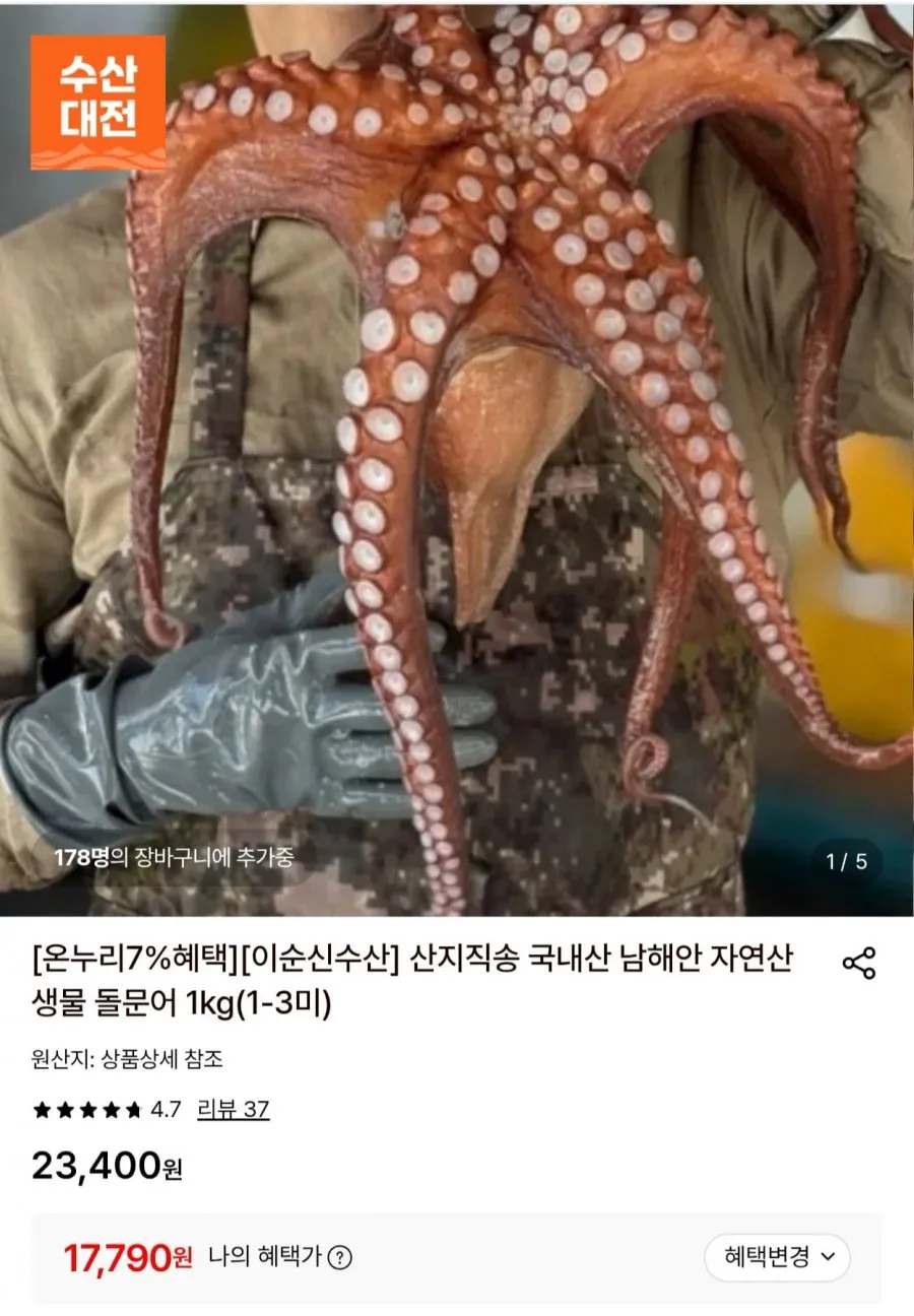 돌문어 1kg (1-3미)