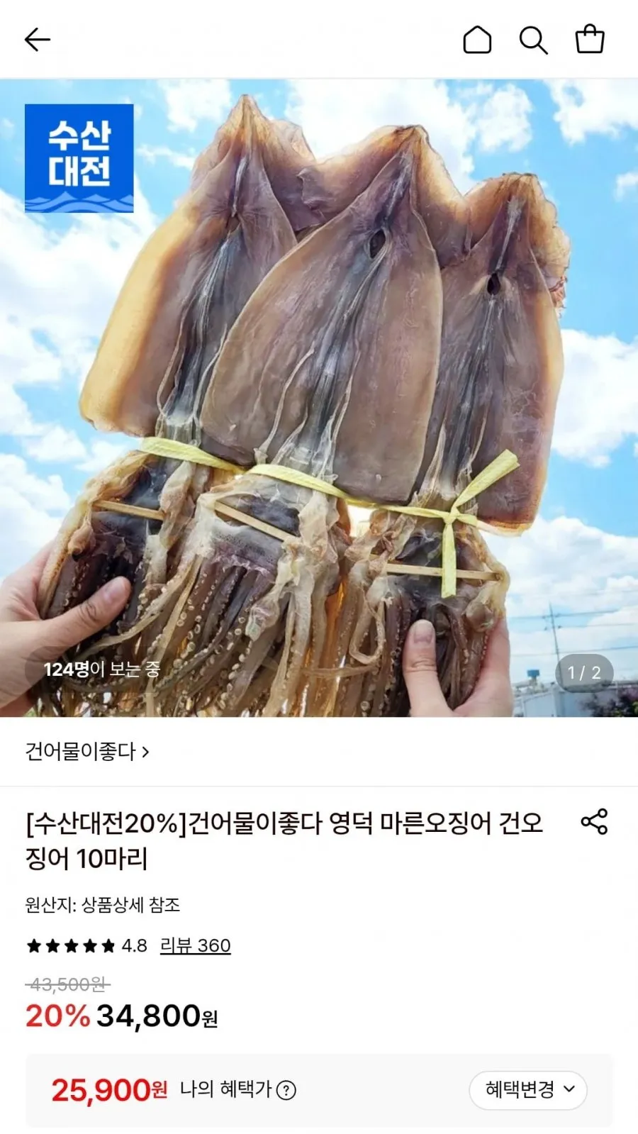 영덕 마른 오징어 10미