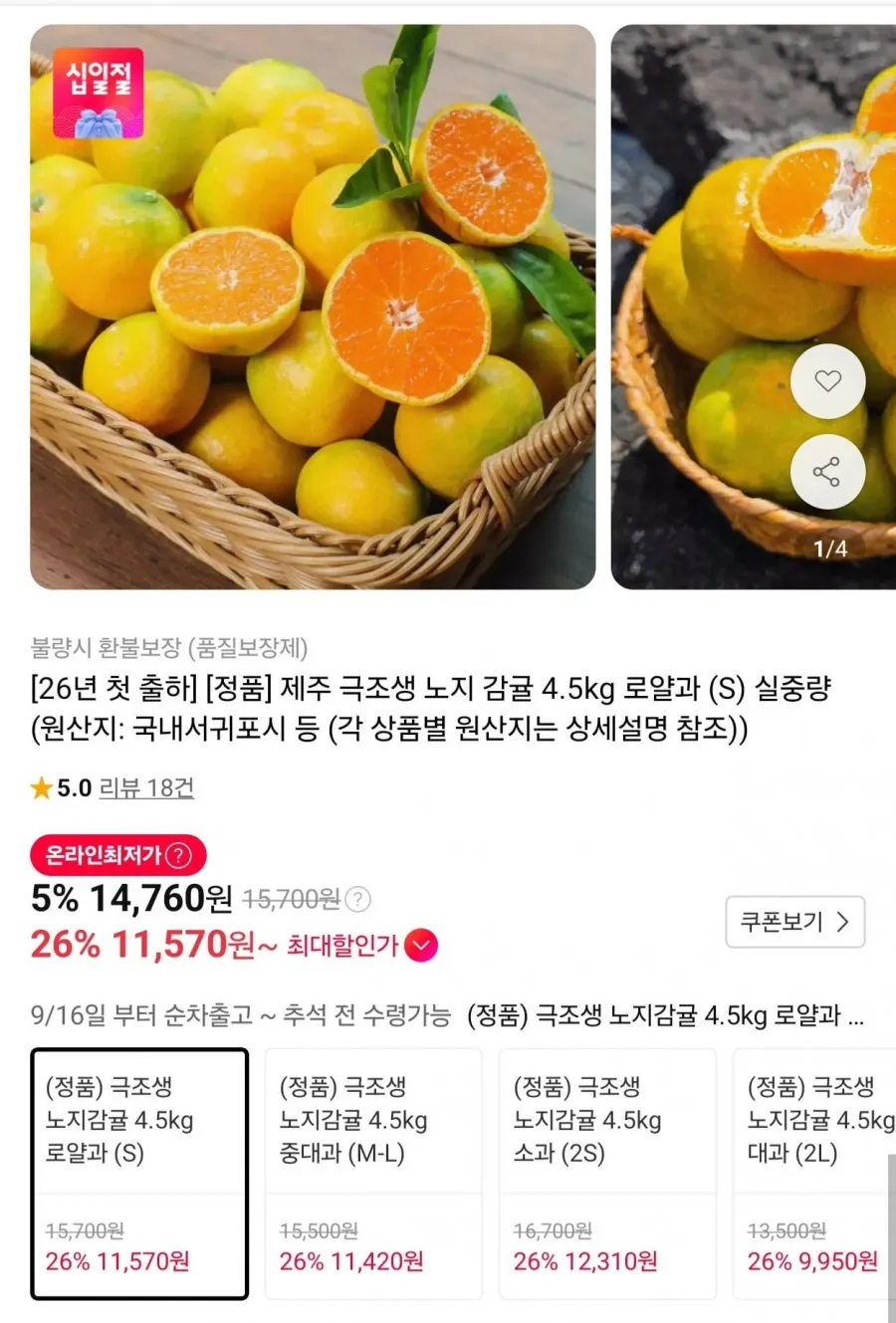 제주 극조생 노지감귤 4.5kg 로얄과 S