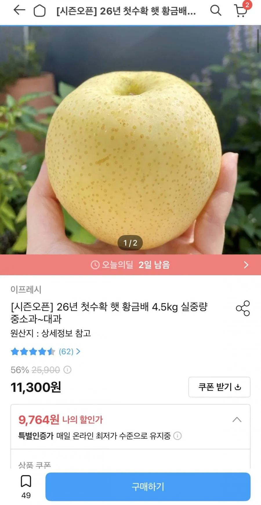 26년 햇 황금배 4.5kg 중소과