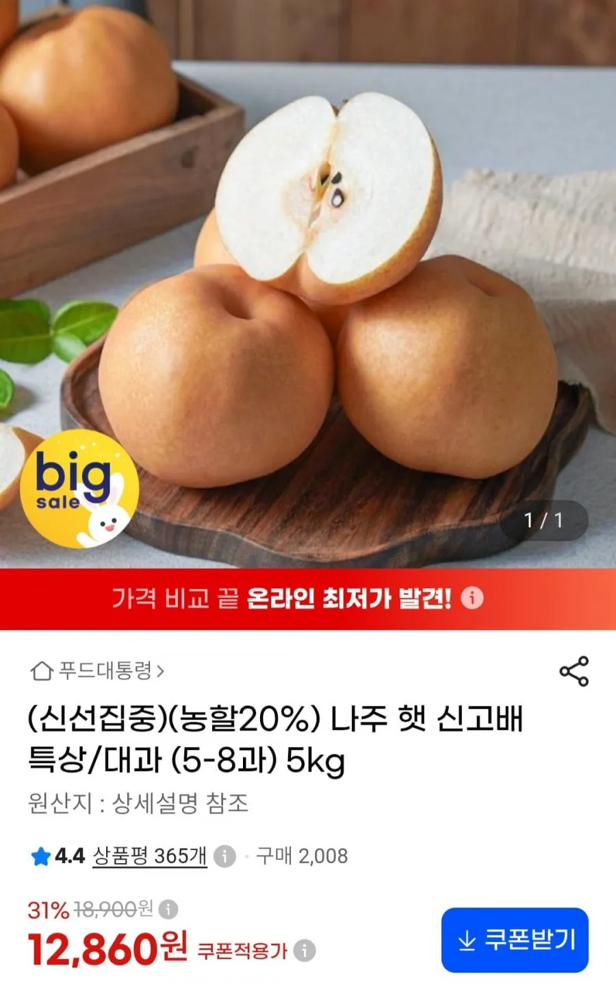 나주 햇 신고배 특상/대과 (5-8과) 5kg