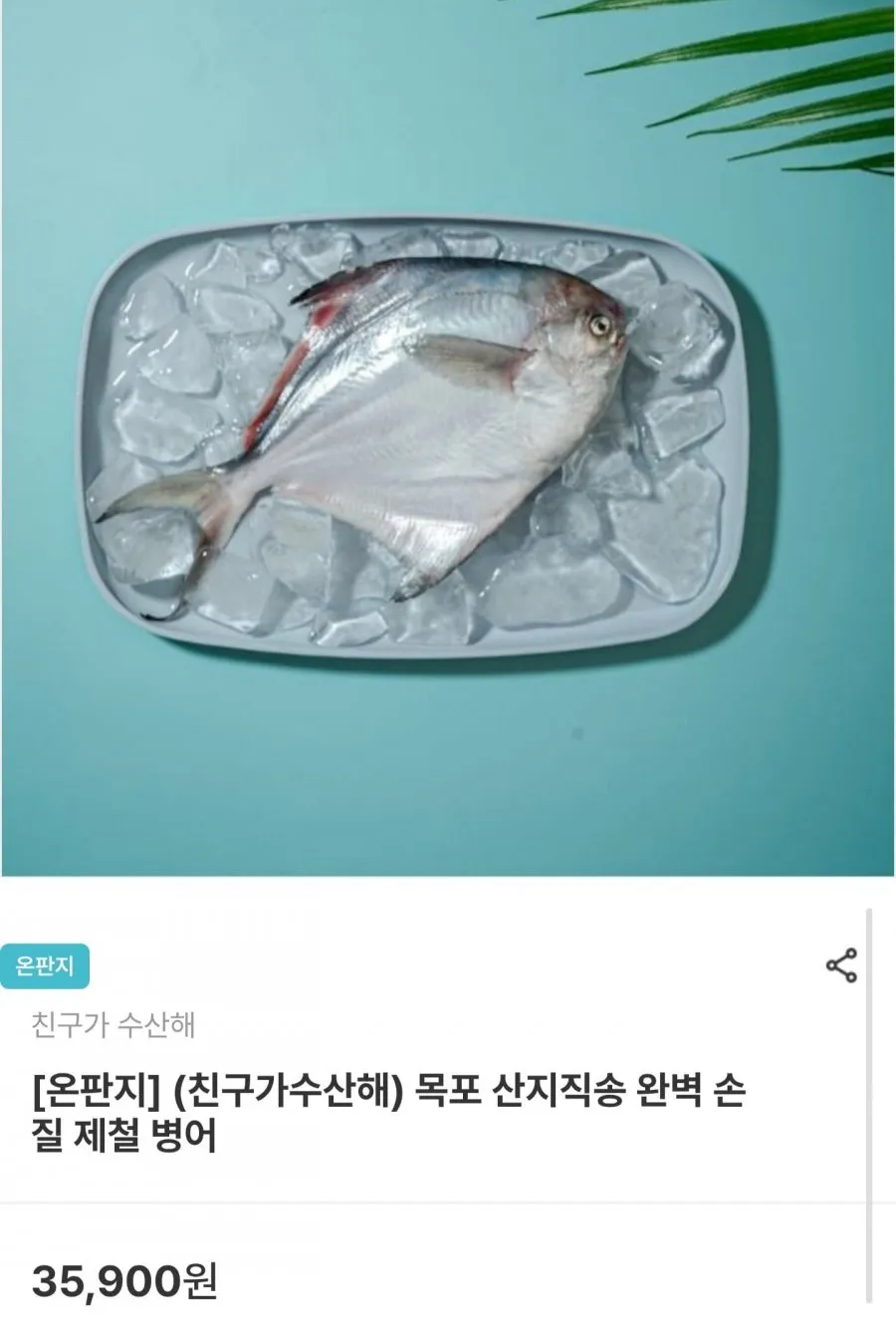 목포 산지직송 손질 병어 200g 이상 x 2마리