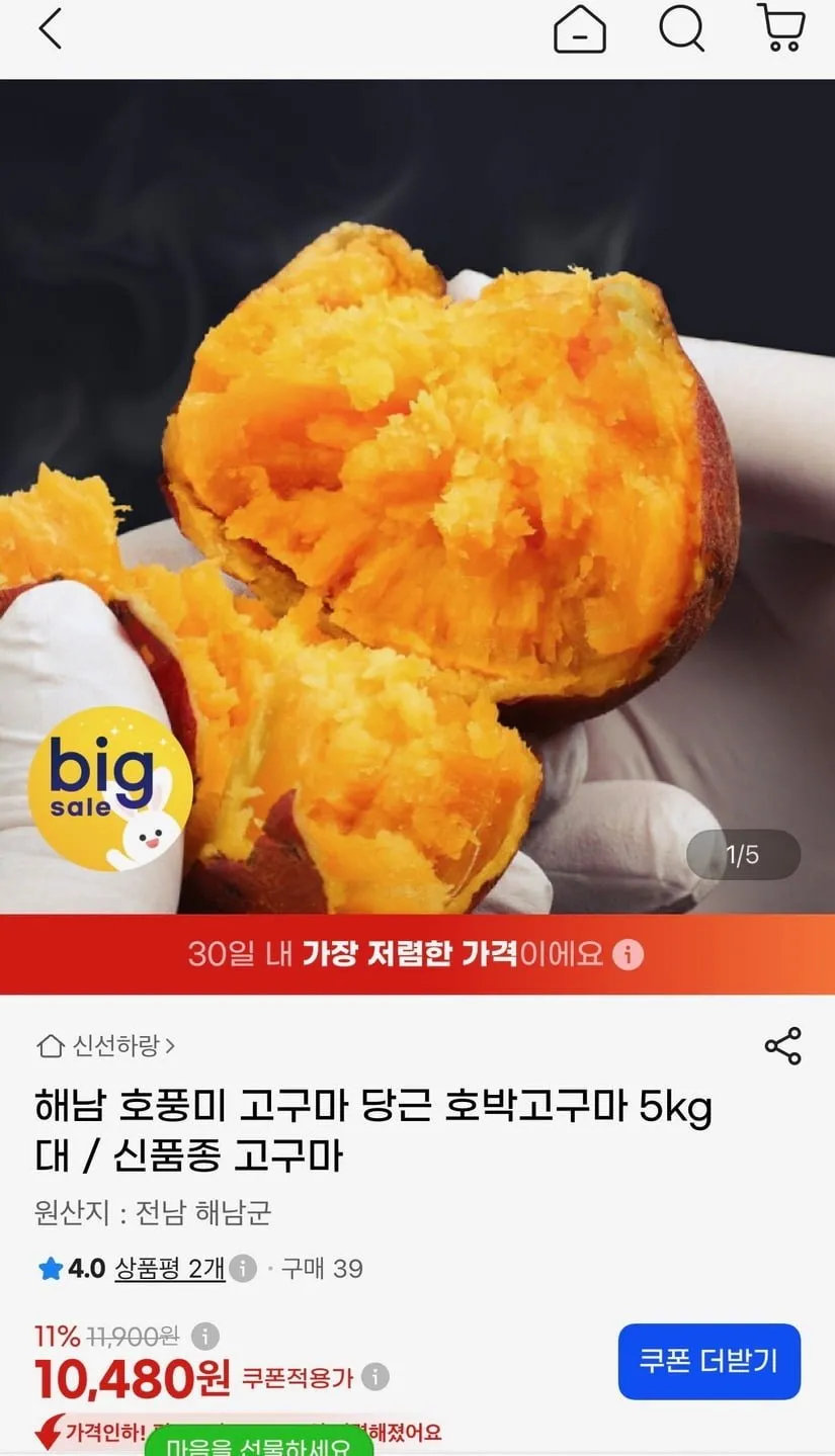 해남 호풍미 당근 호박고구마 5kg 대