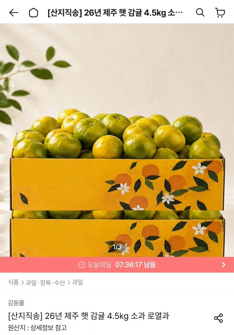 26년 제주 햇 감귤 소과 4.5kg