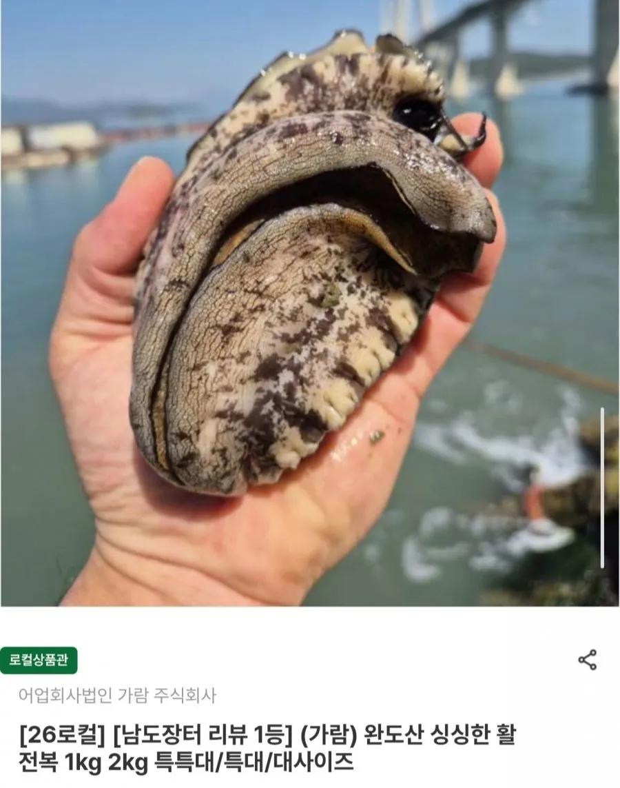 완도산 활전복 특대 2kg 16~18마리