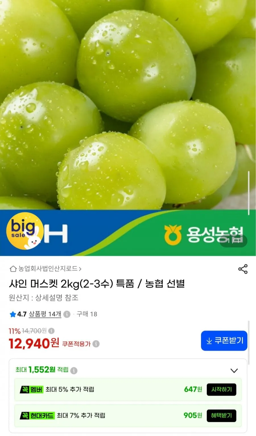 농협 선별 샤인머스켓 특품 2kg 2-3수