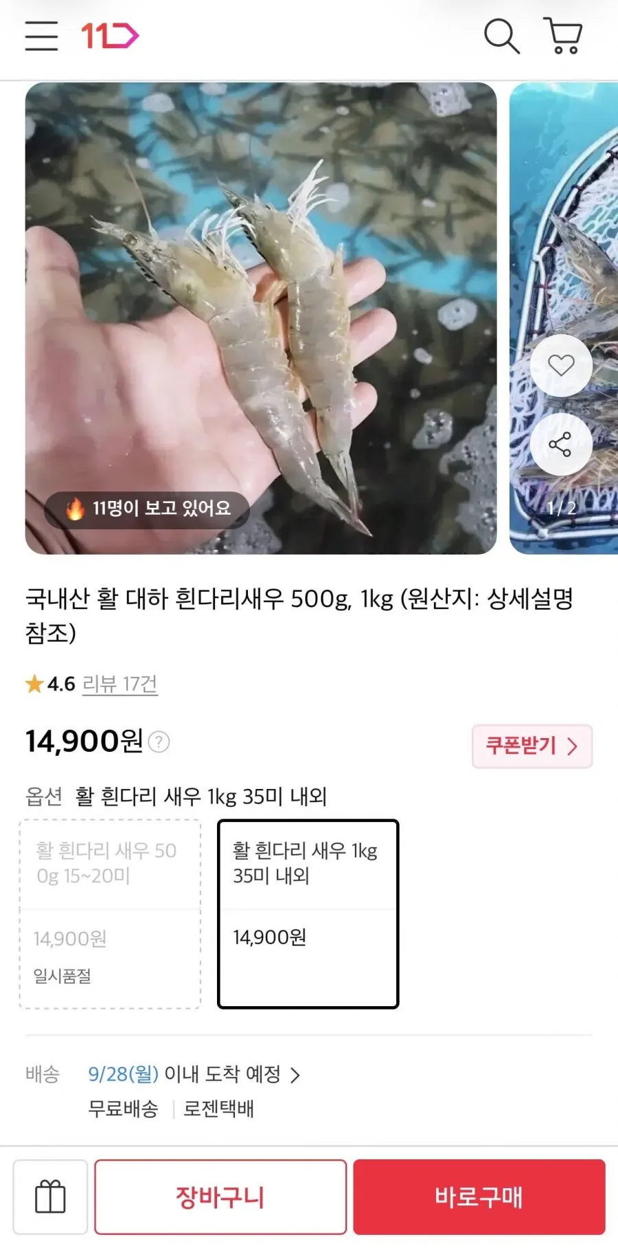 국내산 활 대하 흰다리새우 1kg 35미 내외