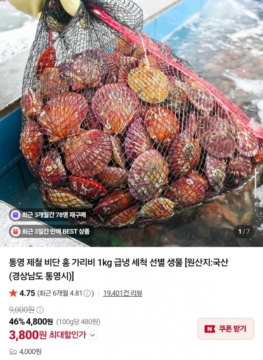 통영 제철 비단 홍가리비 3kg