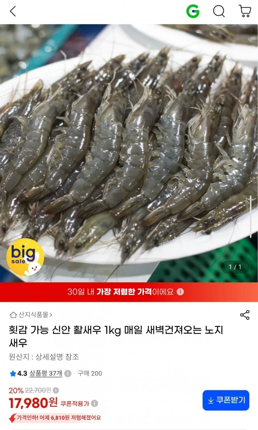 횟감 가능 신안 활새우 1kg