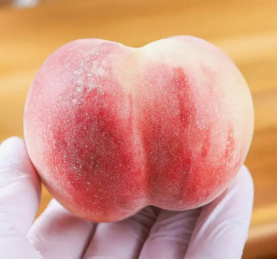 대극천 복숭아 소과 1kg 10-14과