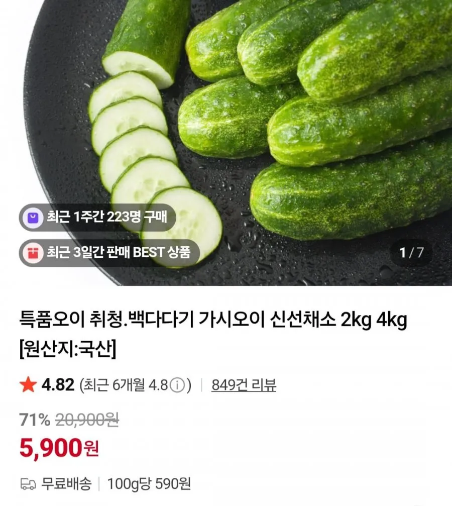 특품 취청오이 2kg