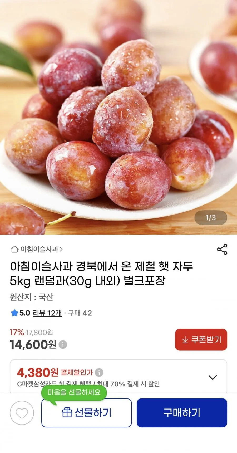 경북 햇 자두 랜덤과 5kg 내외