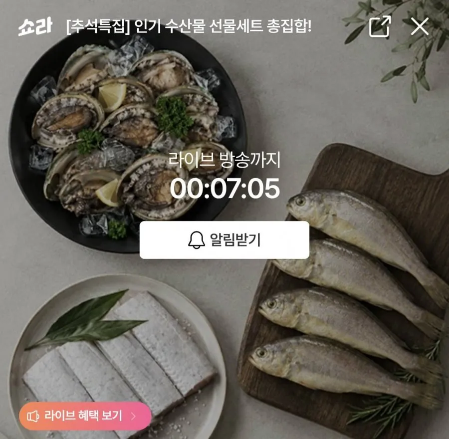 쇼라 수산물 특가 전복 1kg 외