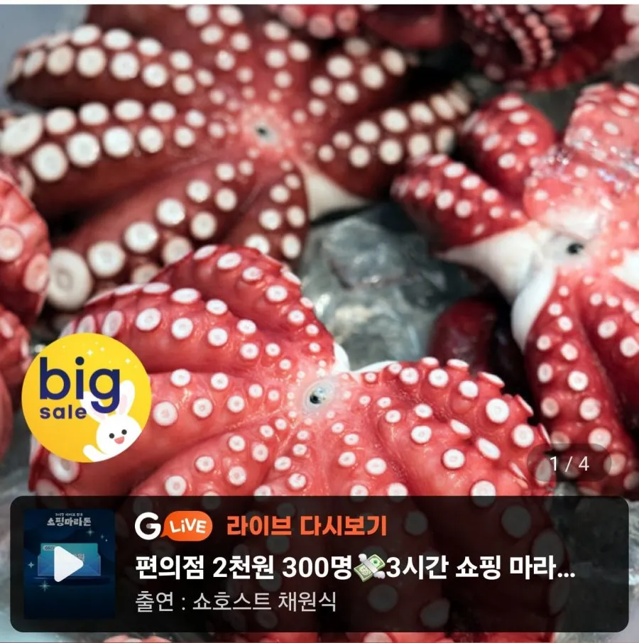 자숙문어 대 1마리 약700g~900g