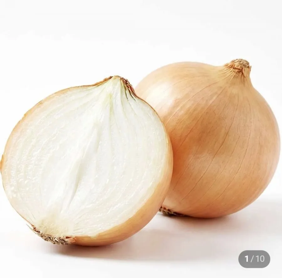 26년 국내산 햇양파 무안 창녕 1.5kg 중사이즈