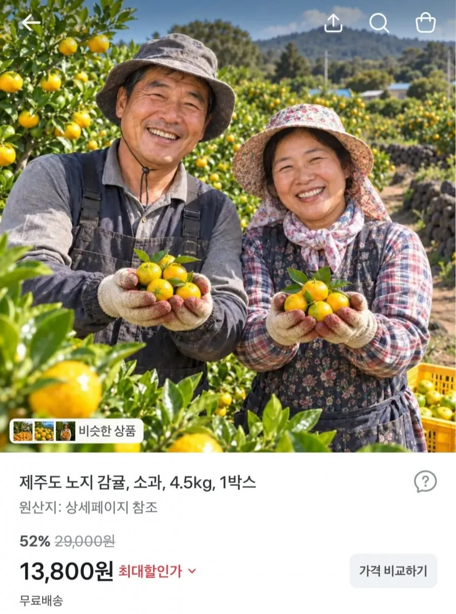 제주도 노지 감귤 소과 4.5kg