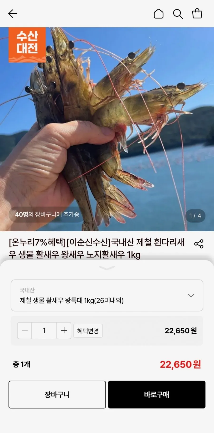 제철 생물 활새우 왕특대 1kg(26미내외