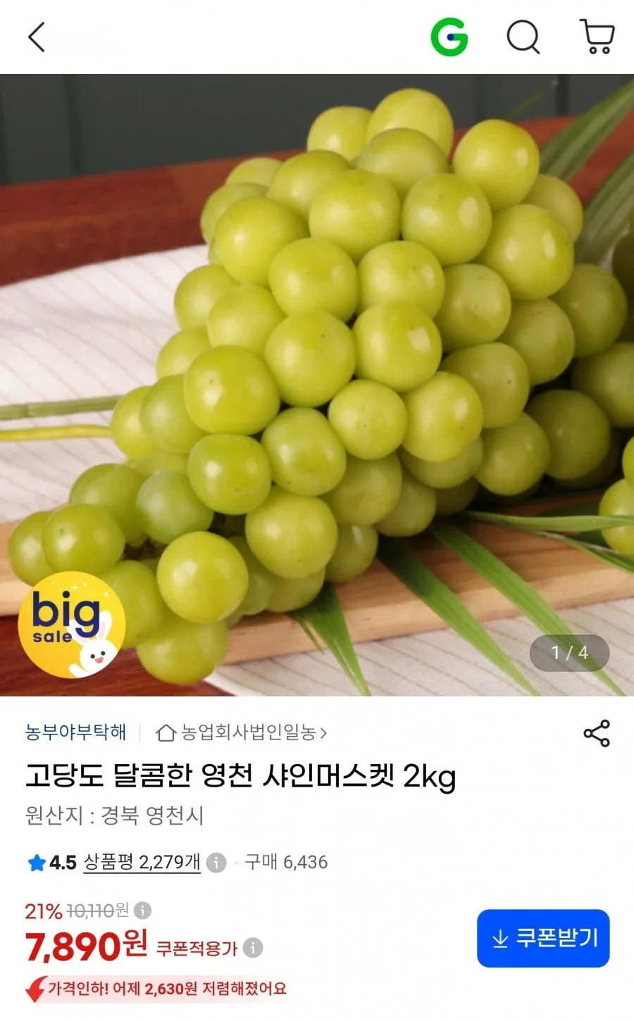영천 샤인머스켓 2kg