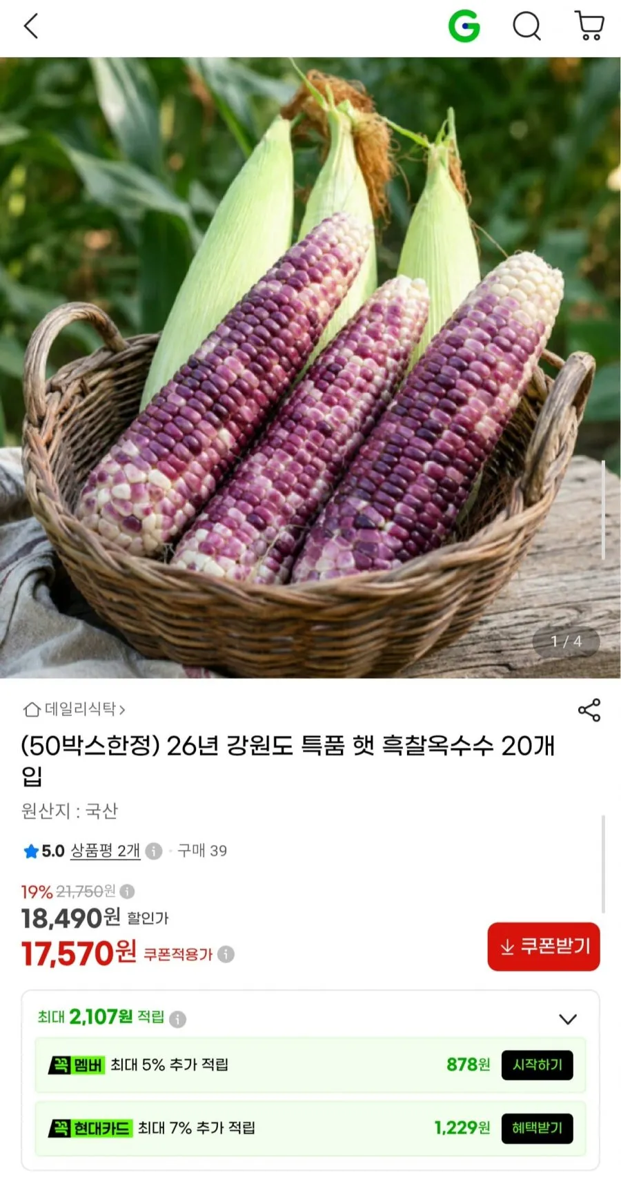26년 강원도 특품 햇 흑찰옥수수 20개